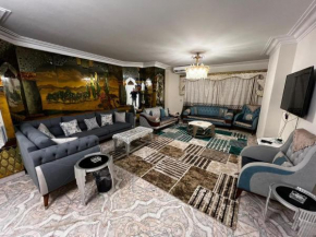 Luxurious Apartment